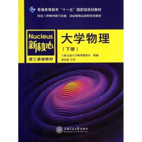 大学物理（下册）/普通高等教育“十一五”国家级规划教材·新核心理工基础教材