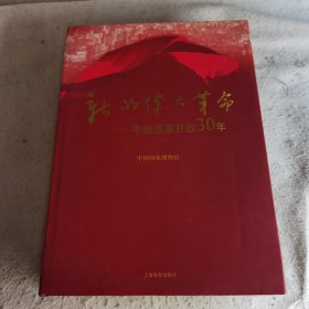 新的伟大革命：中国改革开放30年