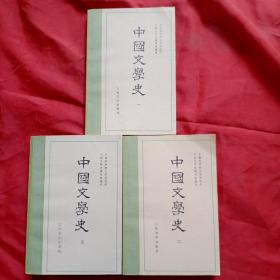 中国文学史(全三册)