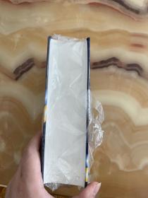 现代意汉汉意词典 正版库存，全新