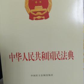 中华人民共和国民法典附草案说明32开