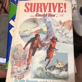 survive could you 原版外文