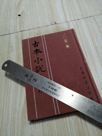 古本小说集成 人间乐 馆藏书未借阅 实物如图