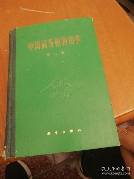 中国高等植物图鉴（第二册）