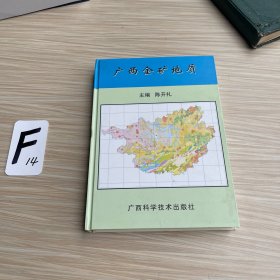广西金矿地质