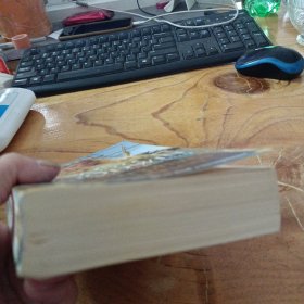 An Orphan's Journey——gg5