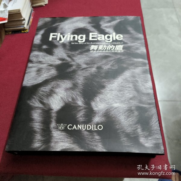 Flying Eagle 舞动的鹰