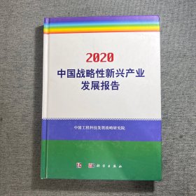 2020中国战略性新兴产业发展报告