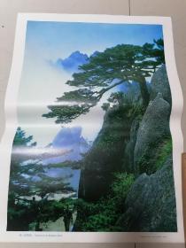 80年代黄山送客松宣传画 尺寸38.5*53厘米，品相好