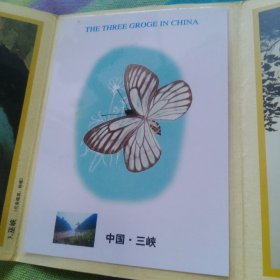 三峡蝶翅标本自然卡