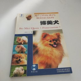 秀气精致乖巧貌似松鼠的博美犬