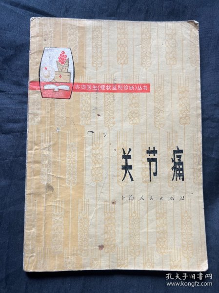 赤脚医生症状鉴别诊断丛书关节痛