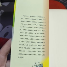 猫火车，或朵朵的一朵花儿（一版一印）如图 微瑕