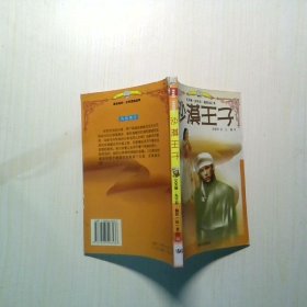 沙漠王子