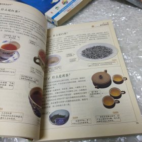 一次完全读懂茶经