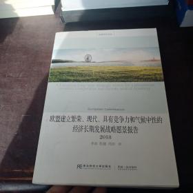 欧盟建立繁荣、现代、具有竞争力和气候中性的经济长期发展战略愿景报告