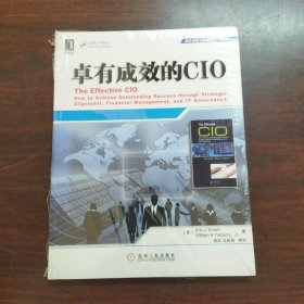 商务智能与信息化技术丛书：卓有成效的CIO