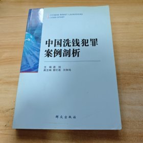 中国洗钱犯罪案例剖析