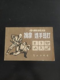 少林武功擒拿连手短打