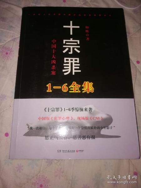 十宗罪5：中国十大凶杀案