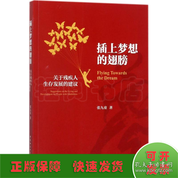 插上梦想的翅膀：关于残疾人生存发展的建议