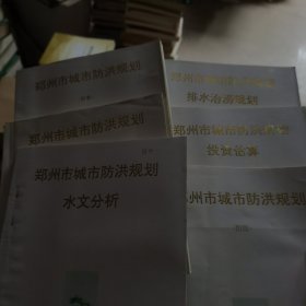 郑州市城市防洪规划全6册