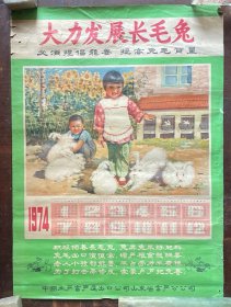 1974年年历（大力发展长毛兔）