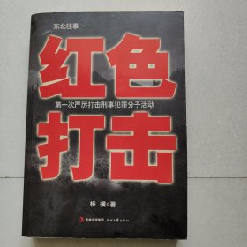 红色打击 东北往事