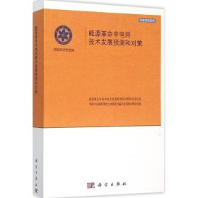 能源革命中电网及技术发展预测和对策