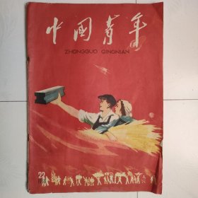 中国青年（1958年22期，1958.22）