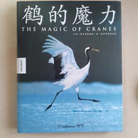 The magic of cranes鹤的魔力