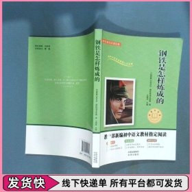 钢铁是怎样炼成的