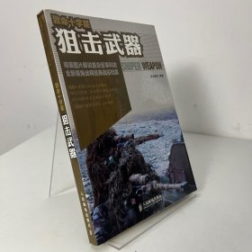 致命十字星：狙击武器