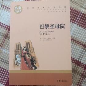 巴黎圣母院 名家名译世界经典文学名著 原汁源味读原著