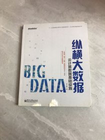 云计算实践指南丛书·纵横大数据：云计算数据基础设施
