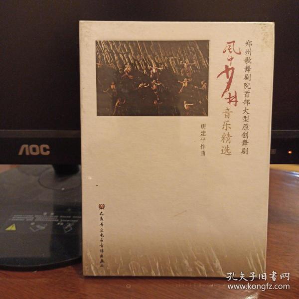 风中少年音乐精选2CD(原版未拆封)