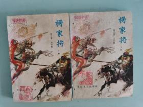 杨家将 上下