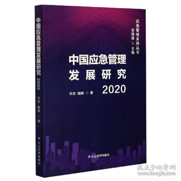 中国应急管理发展研究2020