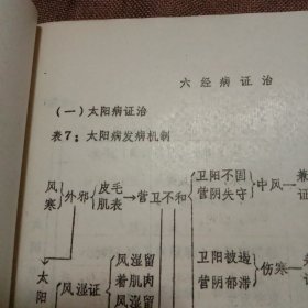 六经证治表解