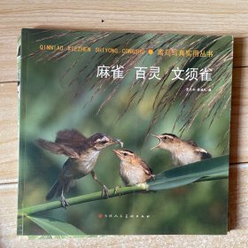 麻雀 百灵 文须雀