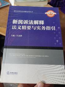 新民诉法解释法义精要与实务指引（下册）