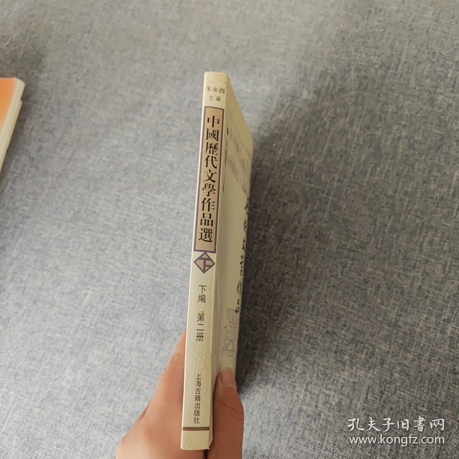 中国历代文学作品 下 （下编 第2册）