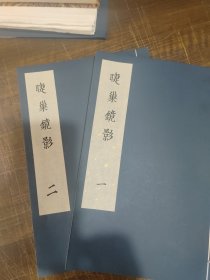 睫巢镜影 全两册