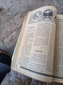 少年科学画报1985年1--9期全