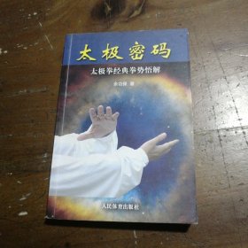 太极密码：太极拳经典拳势悟解