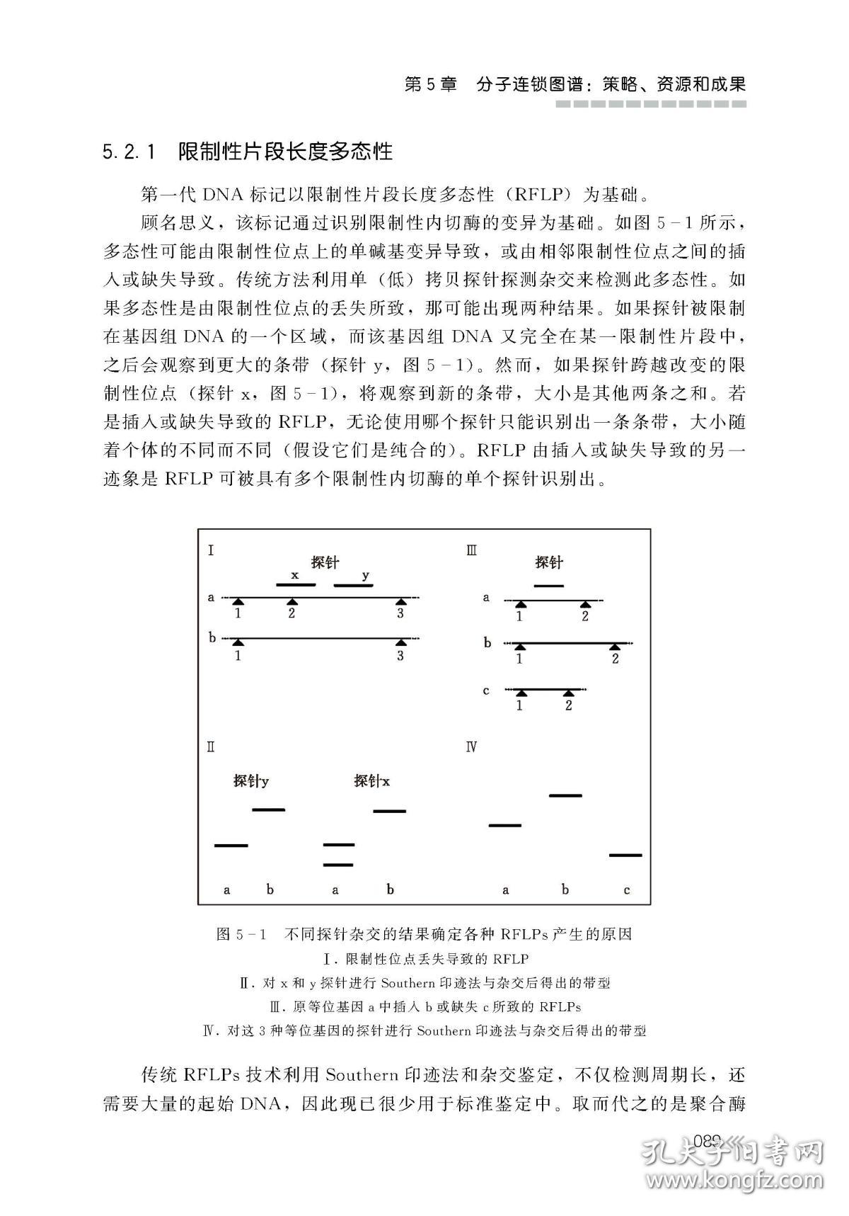 全新正版 香蕉遗传学基因组学与育种 编者:(南非)迈克尔·皮莱//(美)乔治·乌德//吉德伦金·科莱|译者:冯慧敏//徐小雄 9787109230989 中国农业