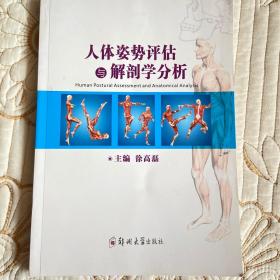 人体姿势评估与解剖学分析