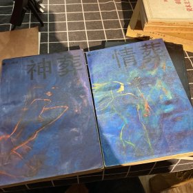 情葬+神葬两本合售