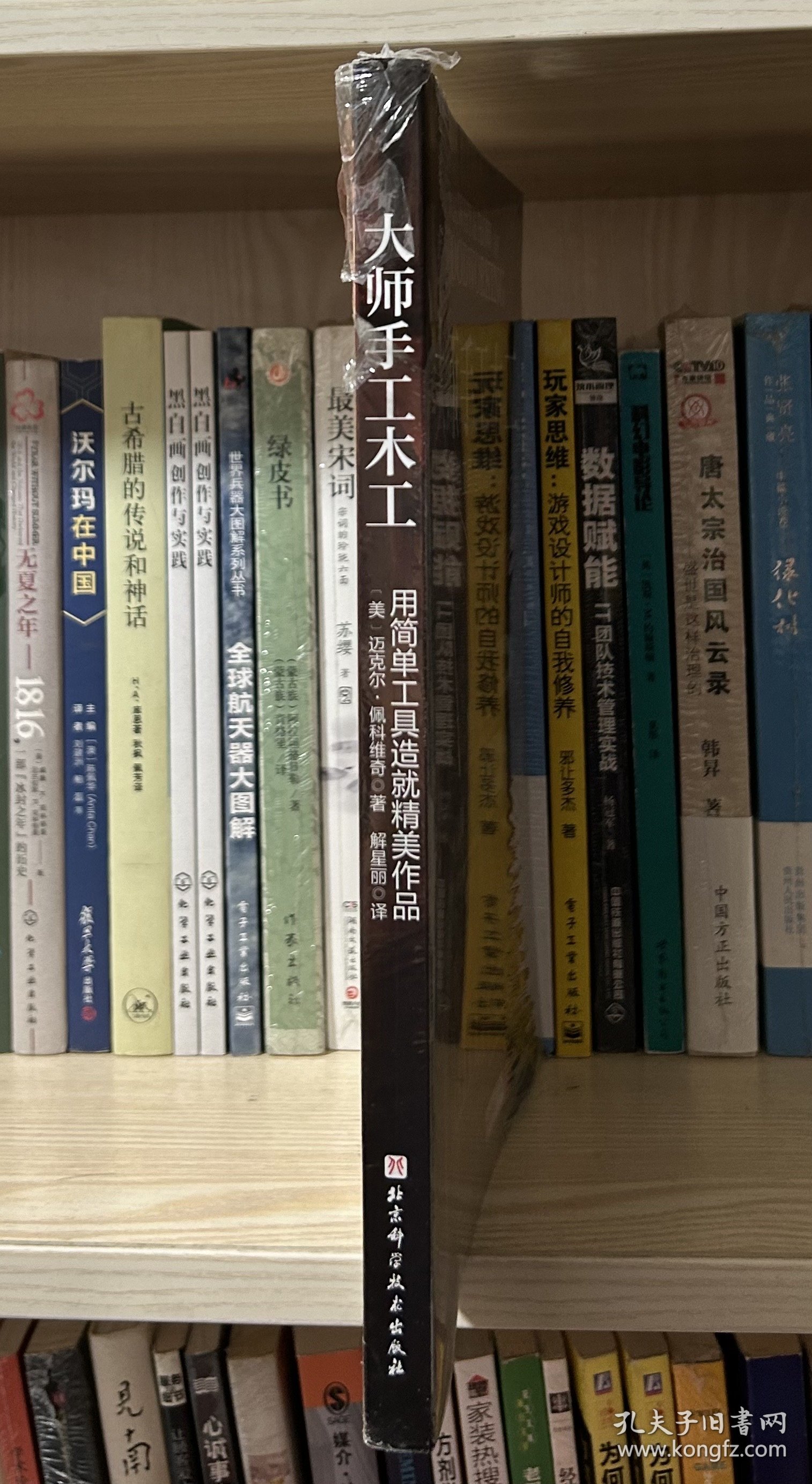 大师手工木工（全新塑封）