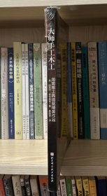 大师手工木工（全新塑封）